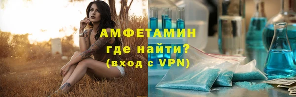 шишки Аркадак