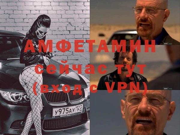 шишки Аркадак