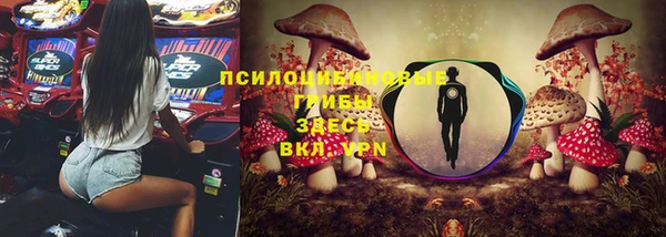 кокс Армянск
