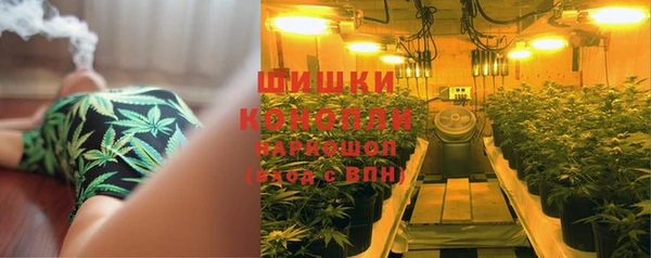 бутират Баксан